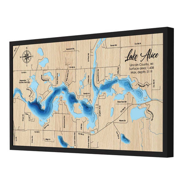 Lake Alice Map, Wisconsin - Personalized 3D Wooden Map - Depth Map Wall Art - Nautical Decor for Lake House