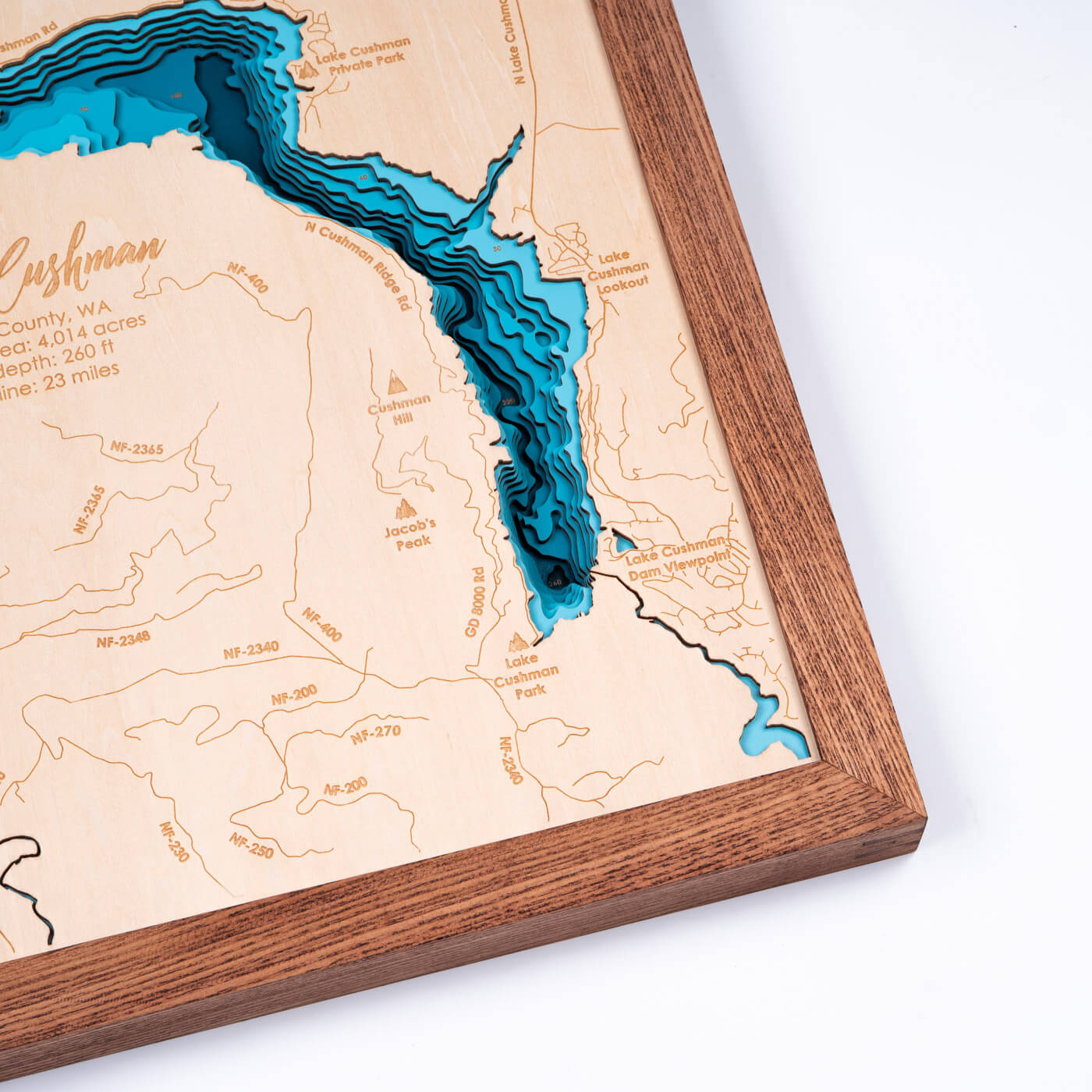 Lake Cushman, Washington 3D Wooden Map - Teal - 9 Layers – Moc Tho LLC